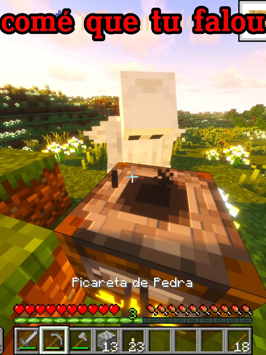 que isso @yukischneider_ ? #Minecraft #humor #mine #fyp #minecraftmemes