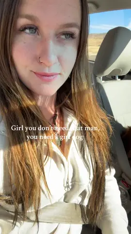 Or a boy dog, really just get a dog 🤣 #fyp #aussiesdoingthings #girldogs 