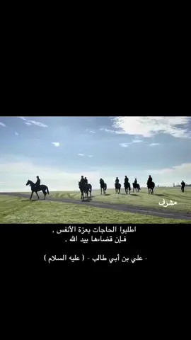 #اكسبلور #مشرف #foryou #fypage #fyp 