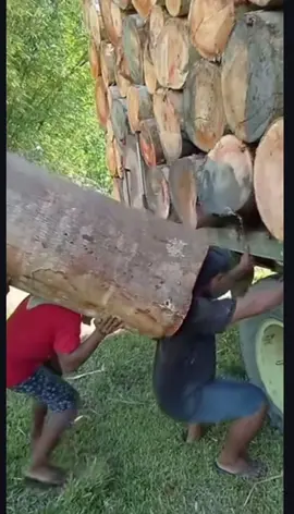 #viraltiktok #viral #umo #comedia #comediahumor 😂😂😂😂😂 laranjada kkkkk😂😂😂😂😂