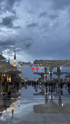 حماسس🥹🥹 #العيص_املج_الوجه_المدينه_المنوره #ينبع #جهينه #fyp #الشعب_الصيني_ماله_حل😂😂 