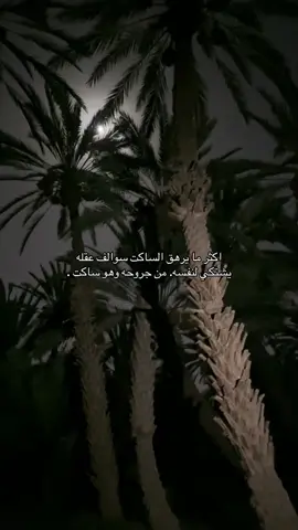 #اكسلبور 