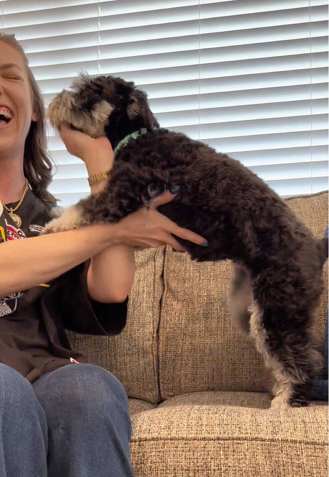 Lady, are you okay?! #schnauzer #puppy #doglover #dogsoftiktok #dogtok 