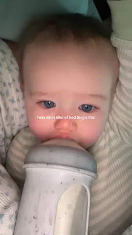 the only answer is the cutest kind ! @Montanna  #fyp  #trending  #baby  #bed #bug 
