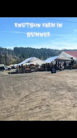 #knutsonfarms #sumner #LIVEIncentiveProgram #LIVEMonetization #PaidPartnership 