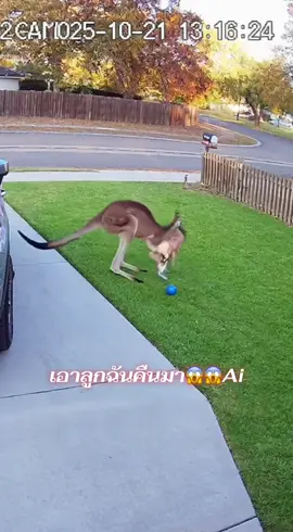 โผล่มาจากไหน 😱😱Ai #sora2 #ai 