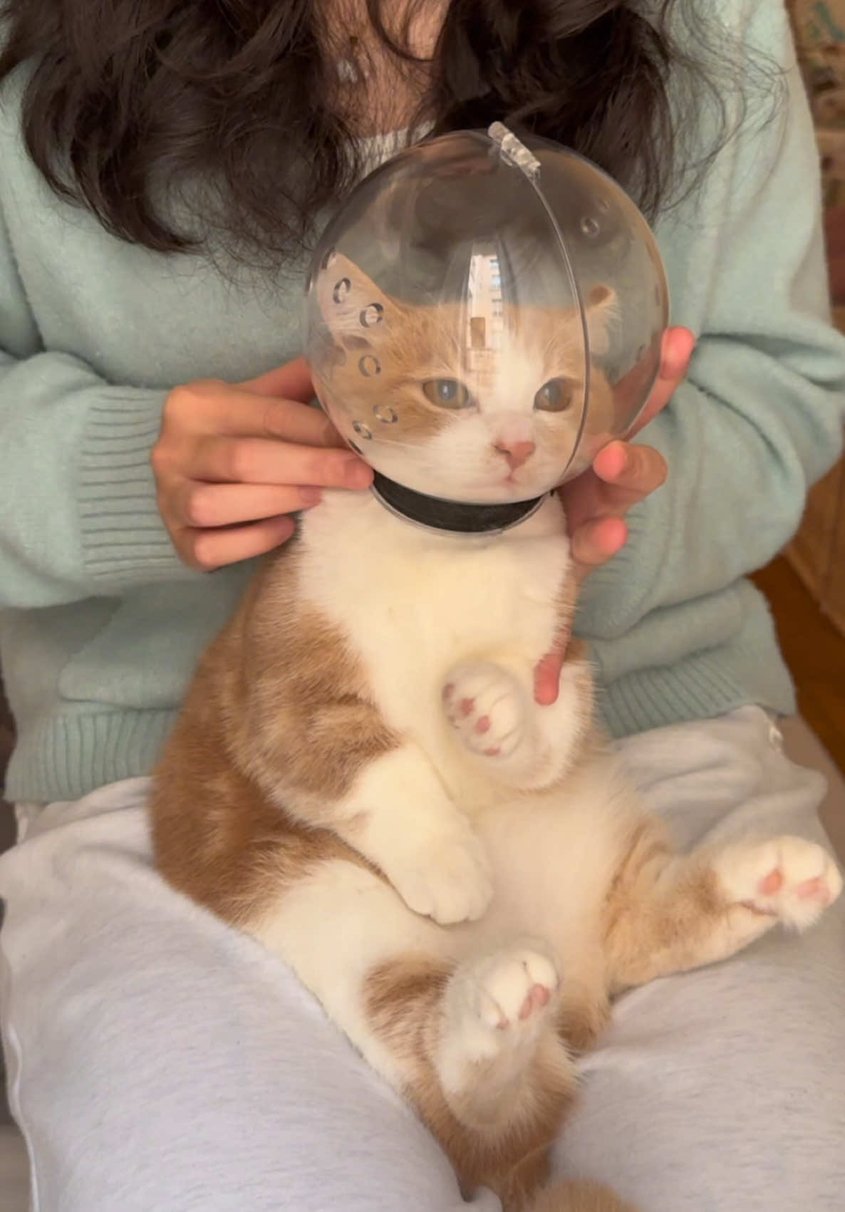 Spa Time with Astronaut Cat Bubu 🐱🫧 #cat #catoftiktok #fyp #cute 