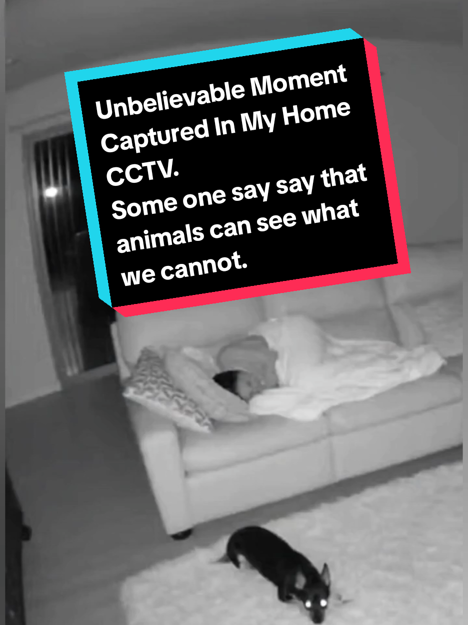 Part 15 | Unbelievable Moment Captured In My Home CCTV. Some one say say that animals can see what we cannot. This Dog proved it while owner slept. 👁️🐕‍🦺 #paranormal #mystery #horror #ai #sora2 