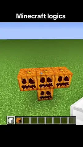 Minecraft logics#Minecraft#foryou#minecraftplayers#minecraftcore#minecraftmemes 