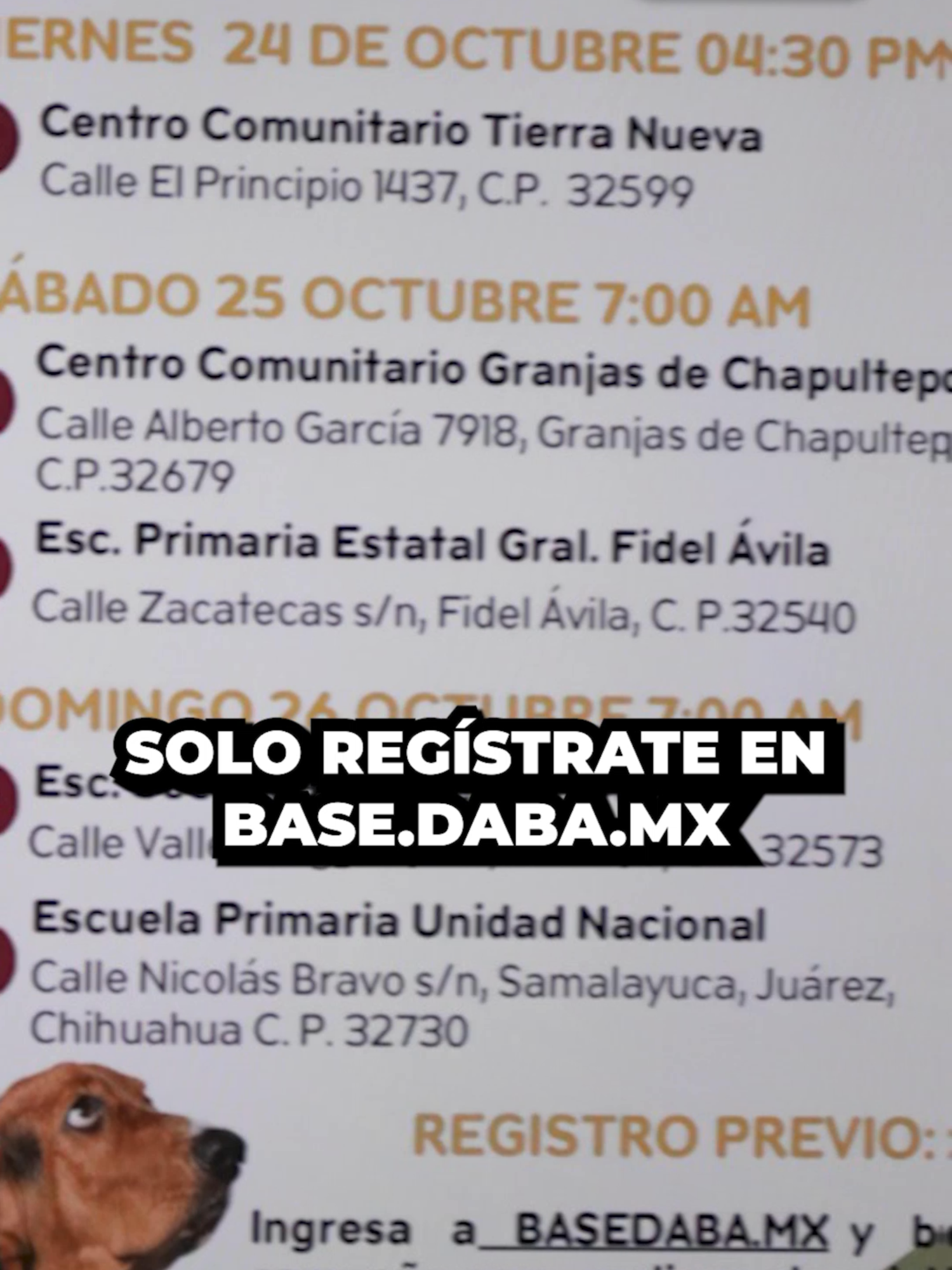 Este fin de semana la Dirección de Atención y Bienestar Animal llevará su Campaña de Esterilización gratuita a distintos puntos de la ciudad. #ElCanalDeLasNoticiasDigital #656 #CIUDADJUAREZ @joelendigital