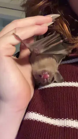 Тг: супкультура 