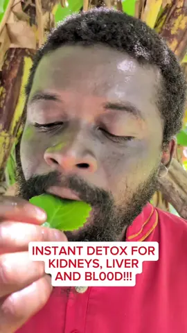 Watch What Happens After Eating Cuban Oregano Raw🌿#CubanOregano #NaturalDetox #HerbalHealing