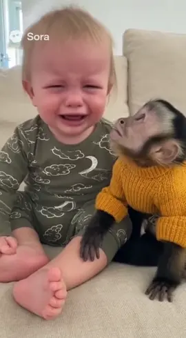 Das ist wirklich süß  #kidstiktok #baby #cute #viral #babyshark 