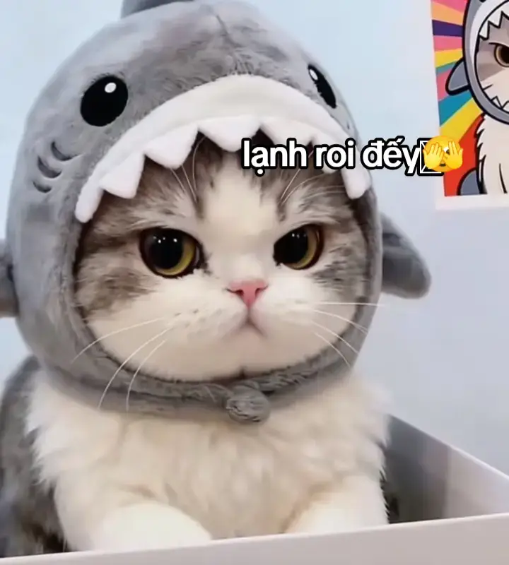 dạy nè dạy nè