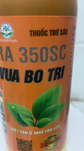 Mọi người vào tham khảo #TikTokAwardsVN #capcut #tiktok #thinhhanh #thinhhanhxuhuong 