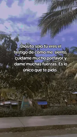#videoparastatus #flypシ 