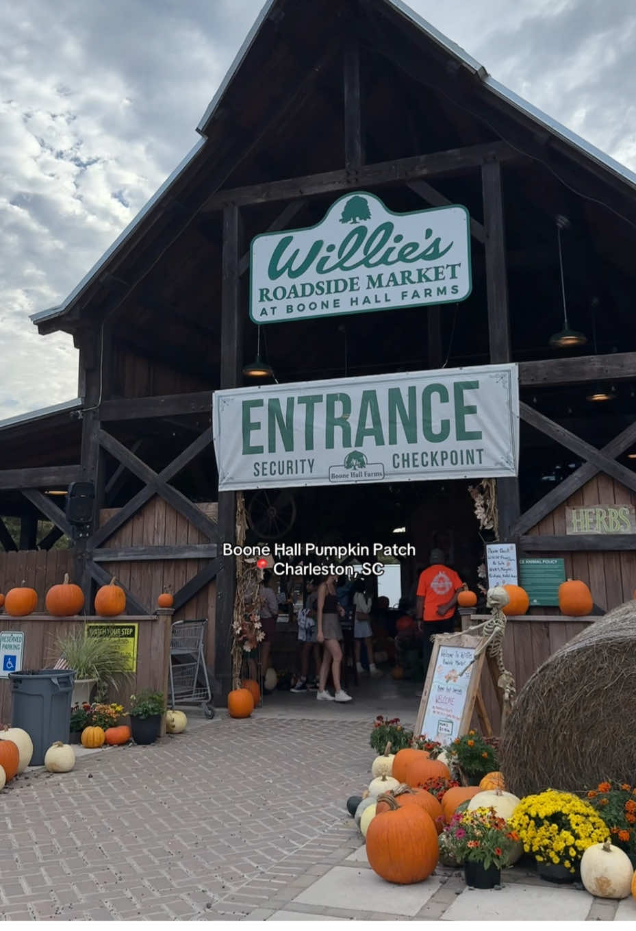 Romanticizing fall in the 80 degree weather🎃 #charleston #fall #pumpkinpatch #charlestonsc #fyp 