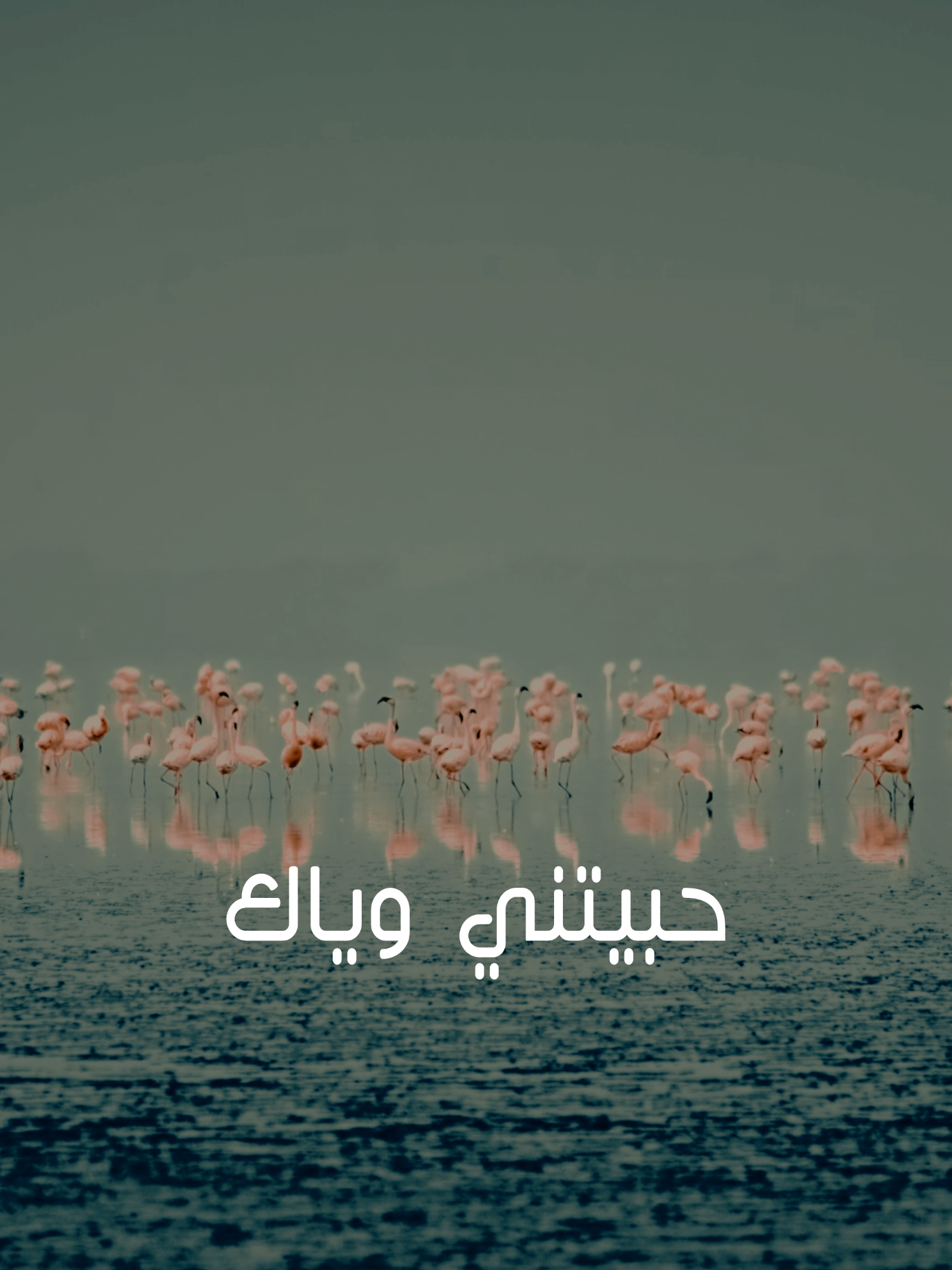 🤍🤍 حبيتني وياك #برهان #السعودية🇸🇦 #السعودية #السعوديه