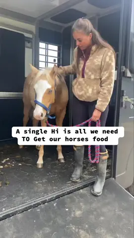 A single Hi is all we need TO Get our horses food #trend #fyp #horse #Love #tiktok #fyppppppppppppppppppppppp #reels #page #fypシ #sad 