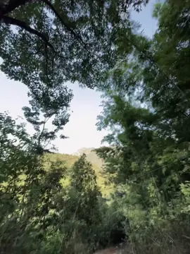 一点阳光怎能盛夏,一点奇爱怎能留 住一个人! 