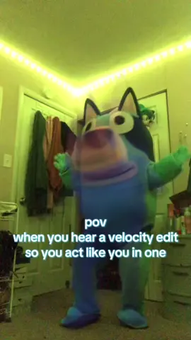 pov when you hear a velocity edit and you think you in one#velocityedit #blueytok #fypシ゚viral #blueyheeler #tiktok 