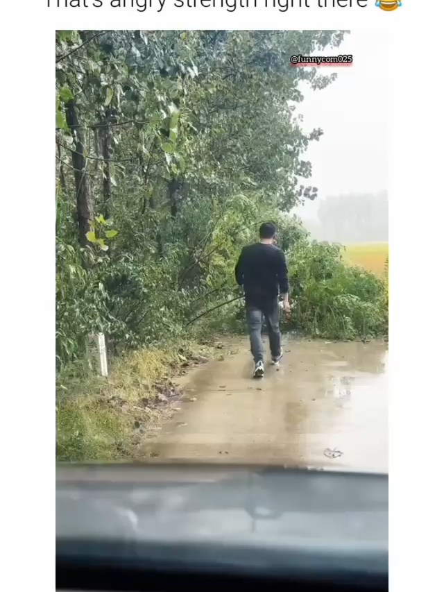 #fyp #viral #funny #creatorsearchinsights #meme #viralvideo