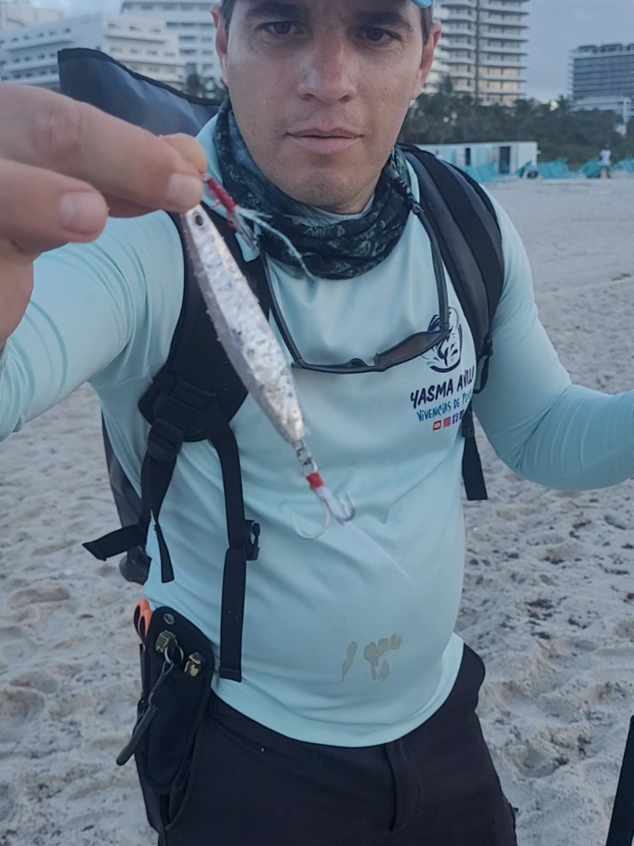 Pescando en Miami Beach #fishing #pesca #capturas #fishingtok #fishingtiktoks 