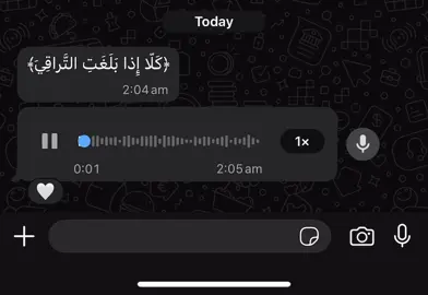 ما تيسر من سورة القيامه | القارئ عبد البديع غيلان ﴿كَلّا إِذا بَلَغَتِ التَّراقِيَ﴾ ❤️‍🩹  ——————————— #قران_كريم #quran #حفظ_القرآن #توفني_مسلما_والحقني_بالصالحين #صلوا_على_رسول_الله 