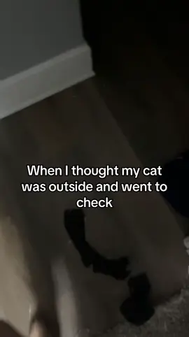 Fawk this cat bro #cat #viral #Love #outside #meow 