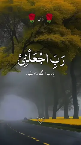 ‎القرآن الکریم 🌹🌹❤ #quran #quranicquotes #islamicreminders #islamicreelsvideo #growmyaccount           