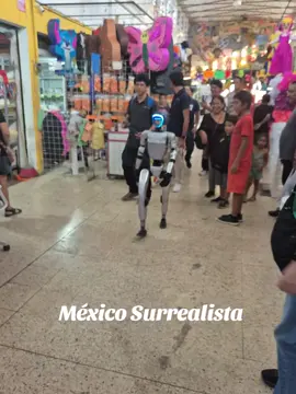 #México #paratiiiiiiiiiiiiiiiiiiiiiiiiiiiiiii #fyp #surrealista #robot 
