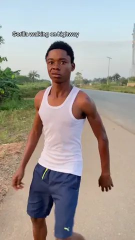 Gorilla walking on highway @Chekwasmichaels 