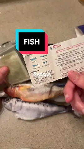 Karma approved #fyp#cattoy#floppingfish#cat#catsoftiktok