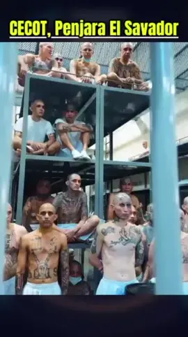 #sorotandunia 