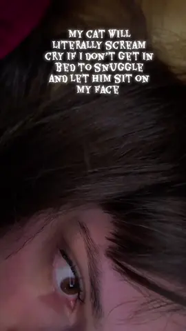 #catsoftiktok #hairlesscat #vinnythecat 