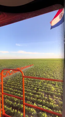 Roudap  #agro #jacto #soja #agrobrasilparaguay #cowboy 