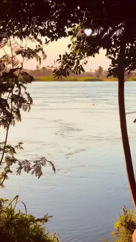 مدد❤️#foryou #foryoupag #viralvideos #تيك_توك_جيمينج 