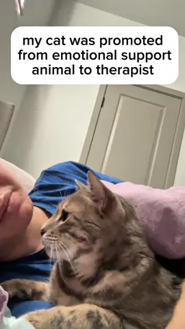 started from the bottom now we meow i guess 