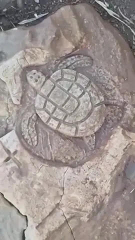 #LIVEIncentiveProgram #سامر #فرنسا🇨🇵_بلجيكا🇧🇪_المانيا🇩🇪_اسبانيا🇪🇸 #فرنسا #بلجيكا🇧🇪_بروكسيل_المانيا_فرنسا_هولندا 