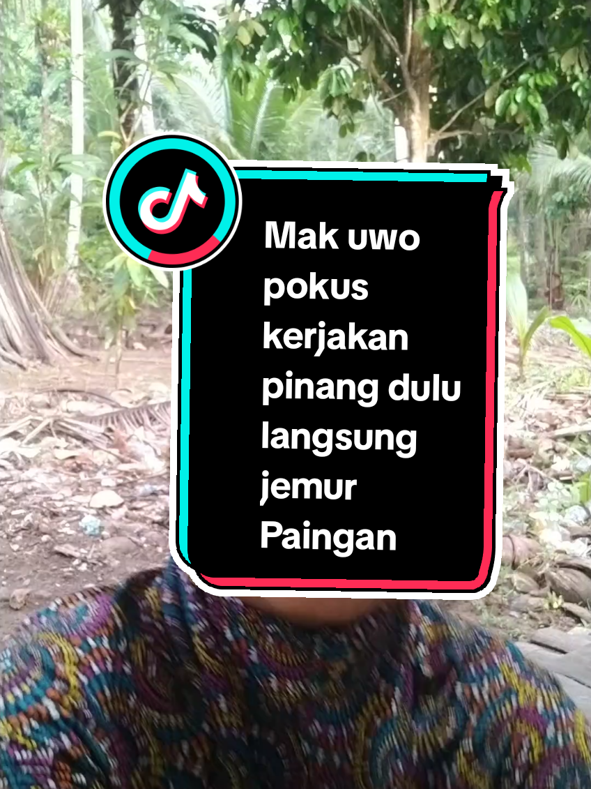 #petani#fyp#pinang#kebun #petaniindonesia🇮🇩🇮🇩🇮🇩🌿🌿 