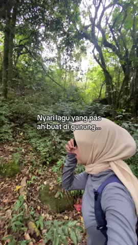 ehh knp lagu ini sih #fyp #bahonglangi1988mdpl #pendakicantik #foryou 