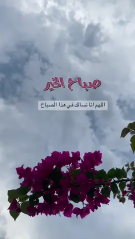 #صباحكم_سعادة_وعافية_وراحه_بال🌷🍃 