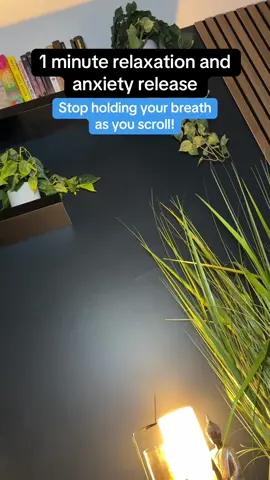 Stop holding your breath as you scroll and breathe with me for 1 minute. This will completely reset you and calm anxiety.  #anxiety #calm #peace #brearhwork