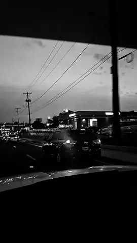 Mi Vida  #TrevolClan