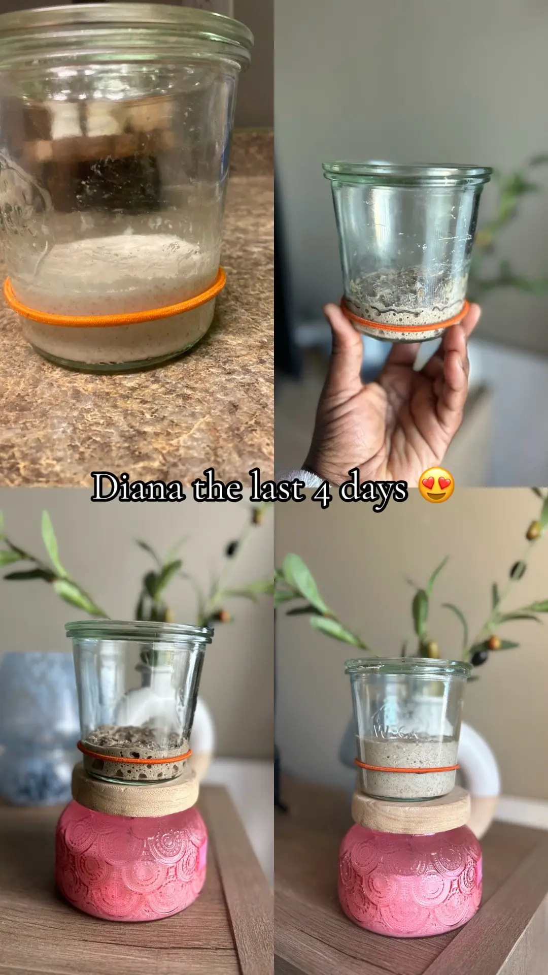 Decided to make a sourdough starter from scratch. Day 1 to 6 looked promising, things were moving but then it all stopped. So I decided to give her a little push and stared a Rye flour rescue plan! As you can see the by the photo the results have been nothing but great! Now to test f she's in fact ready to bake:) #sourdoughstarter #sourdoughbread 