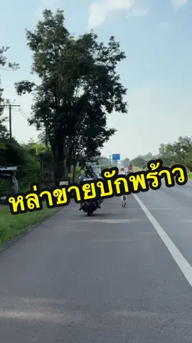 หล่าขายบักพร้าว🤣🤣🤣#ดำสู้ๆ #หมา #หมาน่ารักน่าเอ็นดู #สัตว์เลี้ยงtiktok #VoiceEffects 