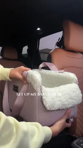 Gotta keep our fur babies safe #petsafety #petcarseats #petsfit #cars #pets @PETSFIT_Official 