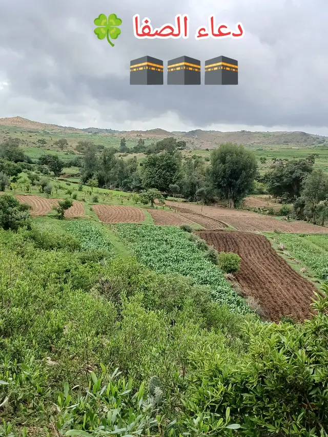 #دعاء 