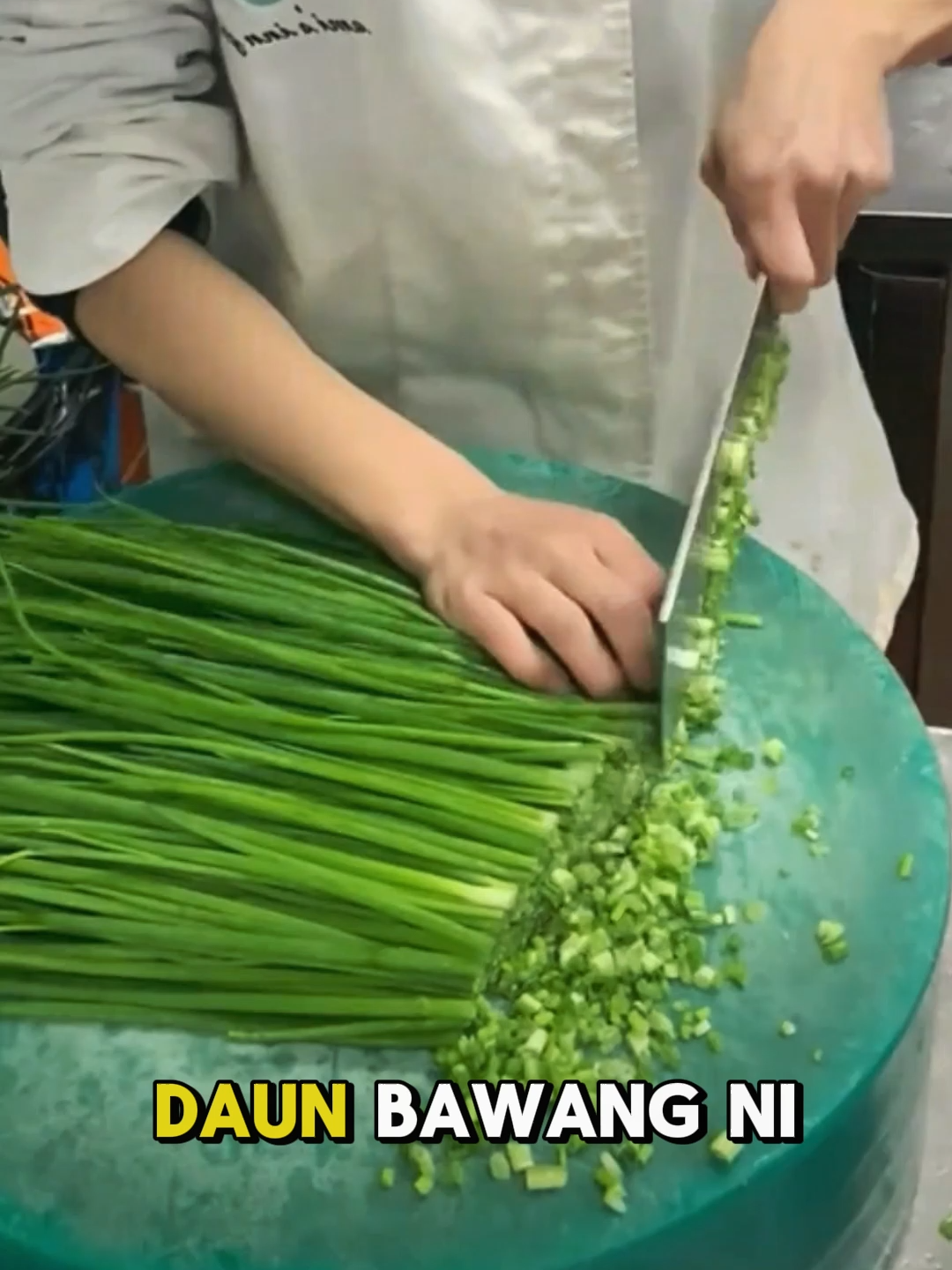 Benih daun bawang kecil, sesuai untuk empat musim.