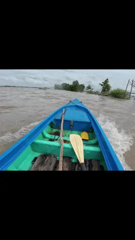 căn nhà giữa đồng Nước Nổi Mênh mông,,, lũ lên cao